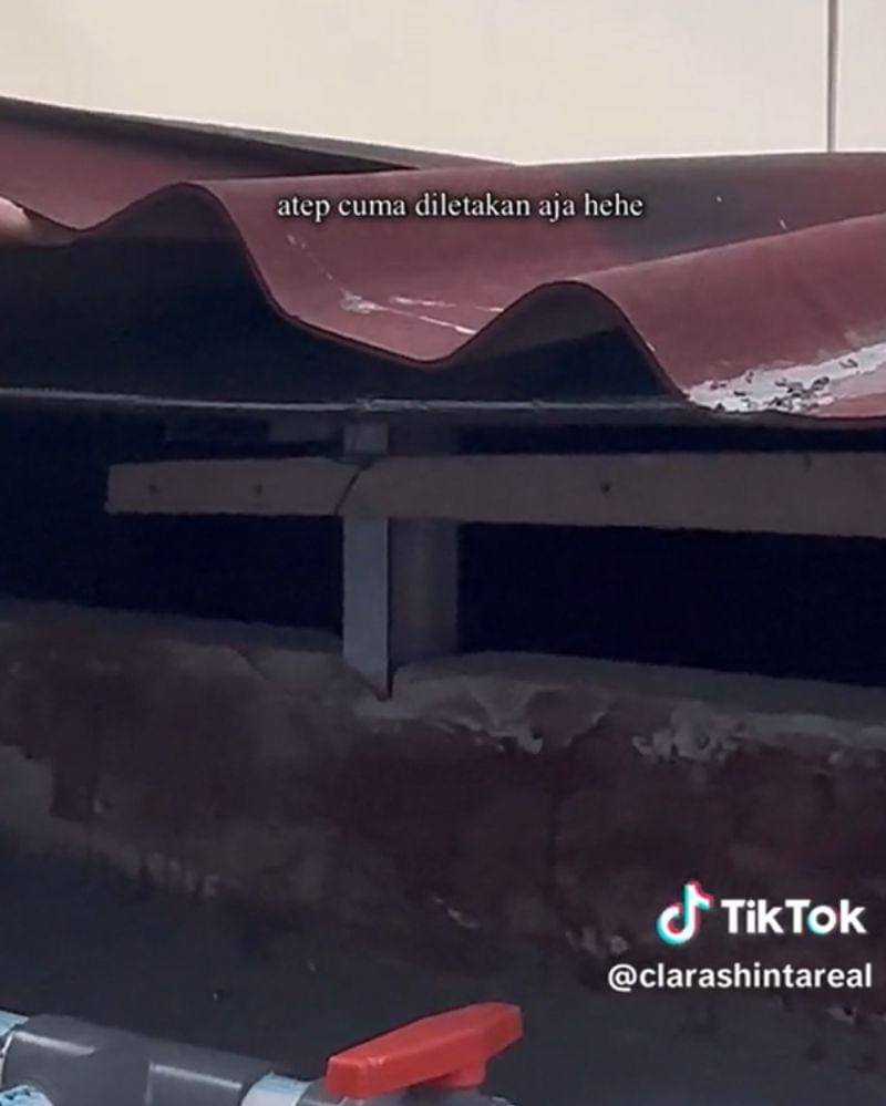 Tiktok.com/clarashintareal